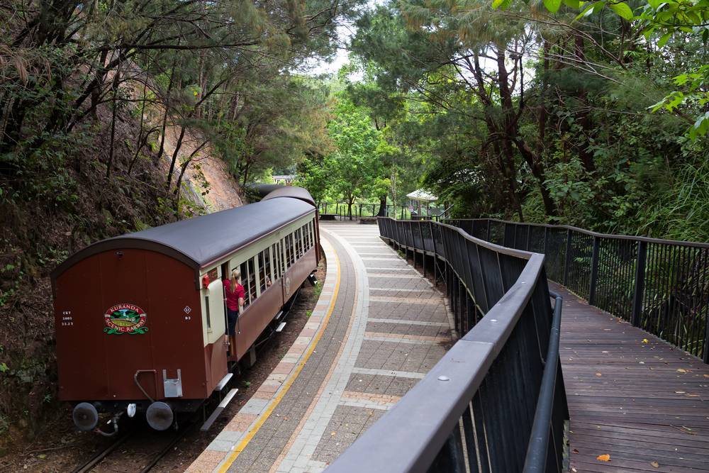 Atherton-Herberton Tarihi Demiryolu’nda bir tren yolculuğu yapın