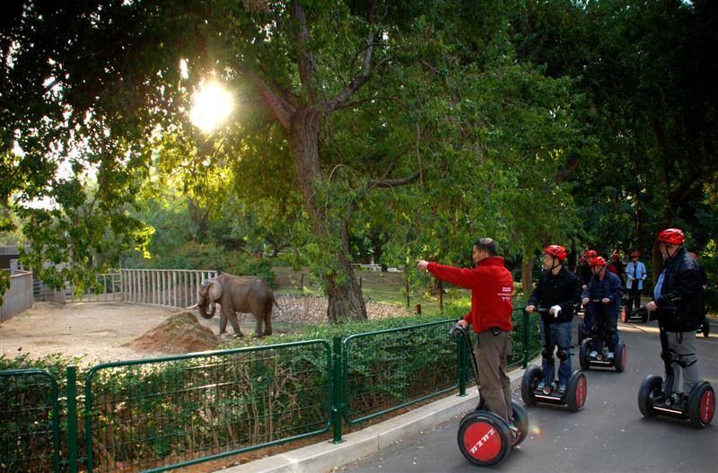Safari Parkı