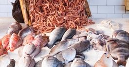 Darüsselam'da Yapılacaklar