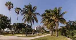 Fort Myers'da Yapılacaklar