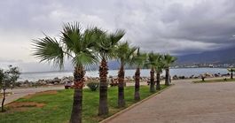 Körfez'de Yapılacaklar