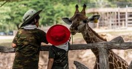 Nairobi'de Yapılacaklar