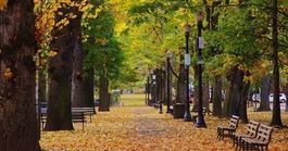 Portland'da Yapılacaklar