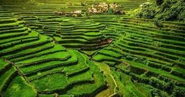 Baguio'da Yapılacaklar