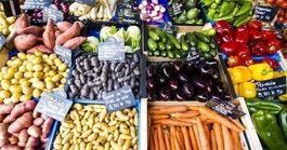Toulouse'de Yapılacaklar