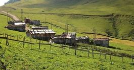 Ortahisar'da Yapılacaklar