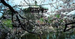 Tokyo'da Gezilecek Yerler