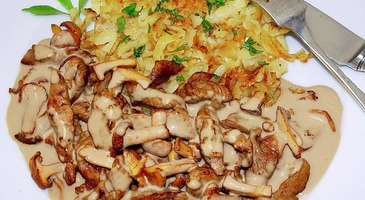 Zurigschnatzlets