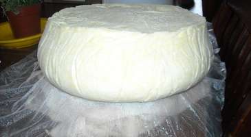 Asiago