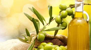 Zeytin