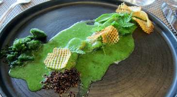 Anguille au vert