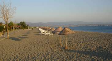 Plajlar