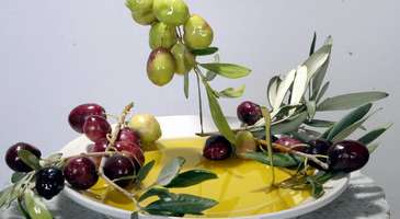 Zeytin
