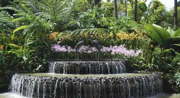National Garden