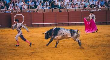 Plaza de Toros