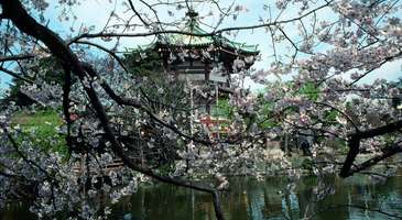 Ueno Park