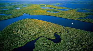 Everglades Ulusal Parkı: