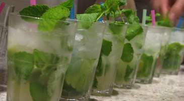 Mojito