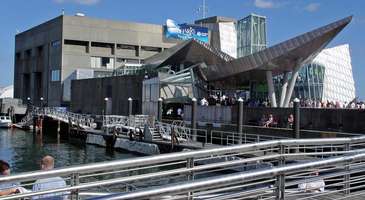 New England Aquarium: