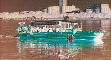 Duck Tour