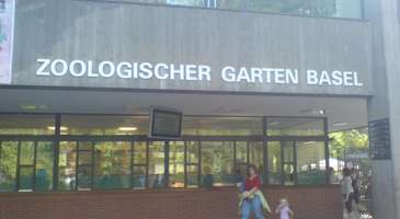 Basler Zoologischer Garten: (Hayvanat Bahçesi)