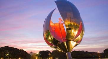 Floralis Generice