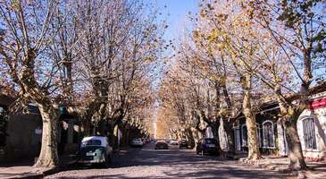 Colonia şehrini ziyaret edin