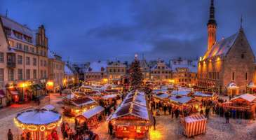 Estonya Açık Hava Müzesi