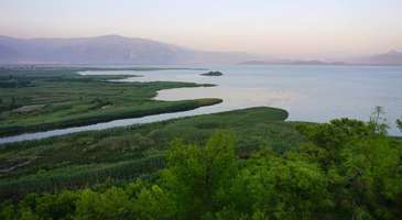 Çam kokusu özleminizi Ağla Yaylası’nda giderin  
