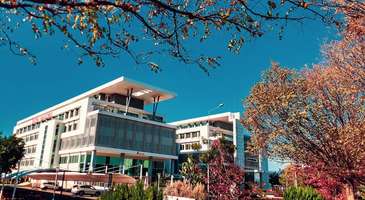 Akdeniz Üniversitesi