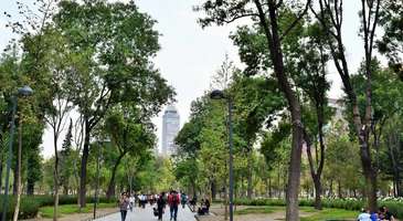 Alameda Park Hayvanat Bahçesi