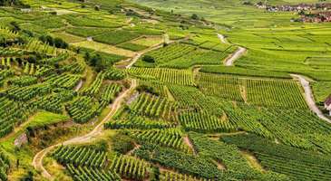 Alsace Ecomusée d'Alsace’de bir gün geçirin