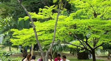 Medellin Botanik Parkı