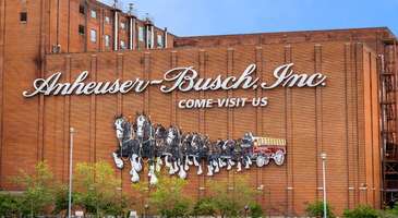 Anheuser-Busch Bira Fabrikası turlarına katılın 