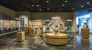 Antropoloji Müzesi’ni bir rehberle gezin