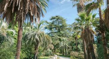 Arboretum Botanik Bahçesi