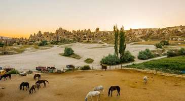 ATV ve atlarla safariye çıkın   