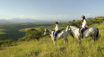 Atlı safariye katılın