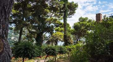 Augustus Botanik Bahçeleri