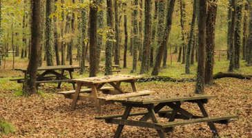 Avcıkoru Tabiat Parkı