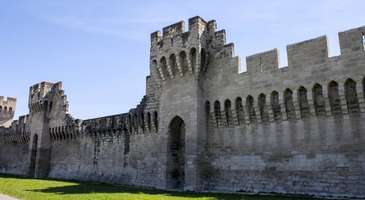 Avignon Surları