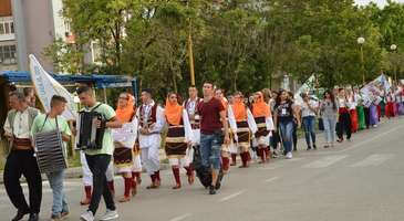 Festivallere katılın