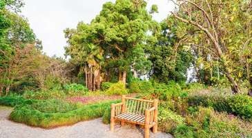 Yemyeşil parklarında oturun