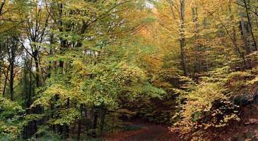 Sağlık ve şifa dolu bir tatil yapın  