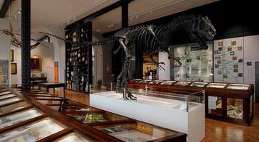 Lapworth Jeoloji Müzesi’ne gidin
