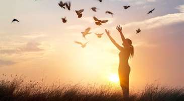 Boğazkent Kuş Cenneti’nde kuş seslerini dinleyin, doğa fotoğrafları çekin