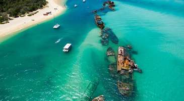 Moreton Adası’nda yunusları besleyin  