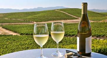 Kaliforniya şarabı alın  