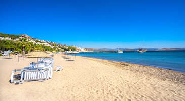 Camel Beach