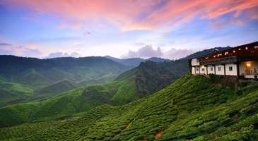 Cameron Highlands bölgesini keşfedin 